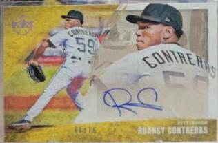 Roansy Contreras