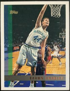 Shawn Bradley