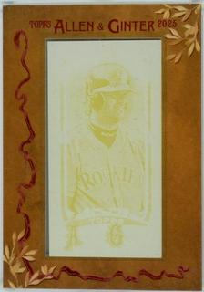 Larry Walker
