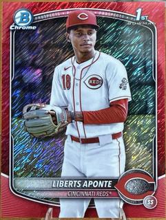 Liberts Aponte