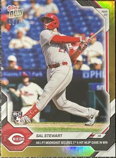 Sal Stewart