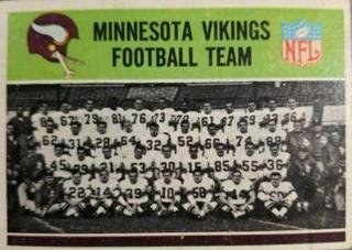 Minnesota Vikings