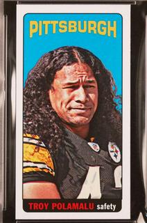 Troy Polamalu