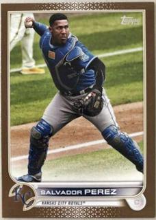 Salvador Perez