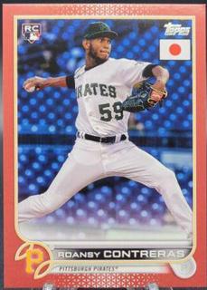 Roansy Contreras