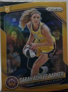 Sarah Ashlee Barker