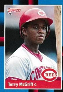 Terry McGriff