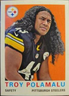 Troy Polamalu