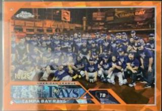Tampa Bay Rays