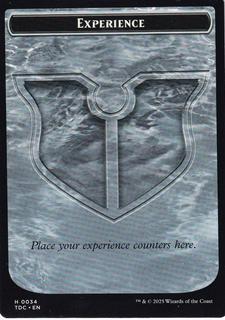 Experience