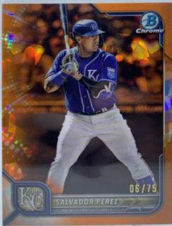 Salvador Perez