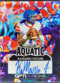 KaMario Taylor
