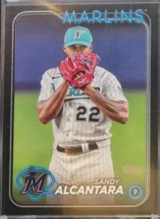 Sandy Alcantara