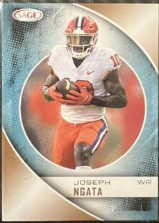 Joseph Ngata