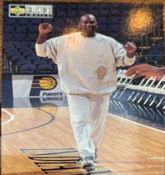 Michael Jordan #391 Cover Art