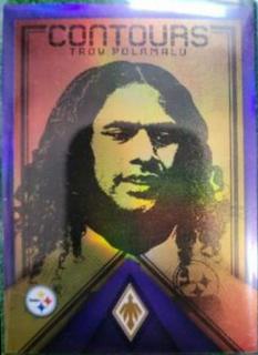 Troy Polamalu