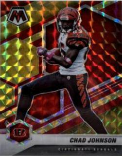 Chad Johnson