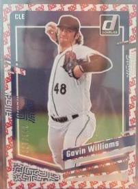Gavin Williams