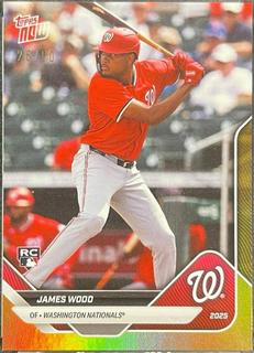 James Wood