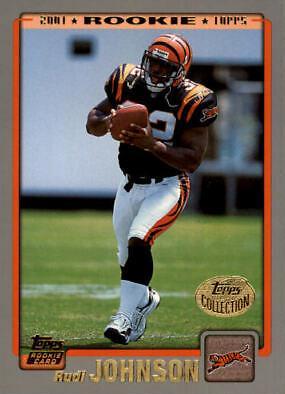 Rudi Johnson [Collection] #369