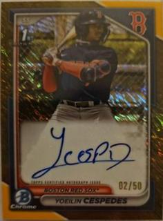 Yoeilin Cespedes