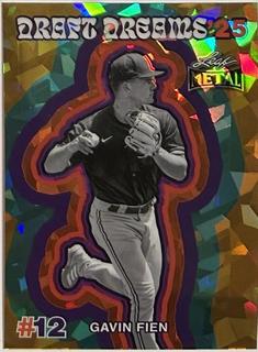 Gavin Fien