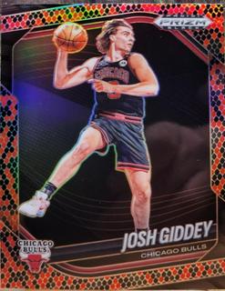 Josh Giddey