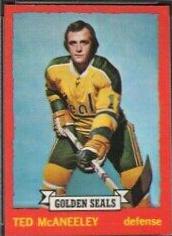 Ted McAneeley #37 Hockey Cards 1973 O-Pee-Chee