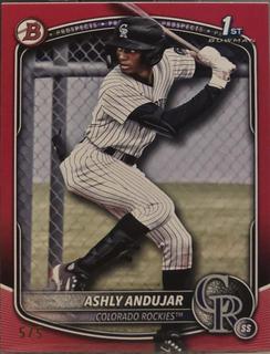 Ashly Andujar