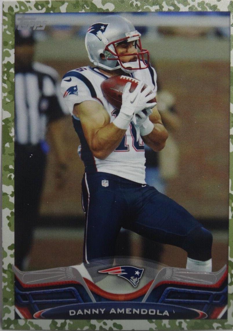 Danny Amendola [Camo] #313