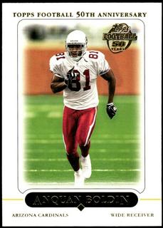 Anquan Boldin