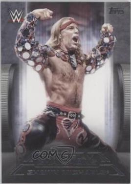 Shawn Michaels #GS-14 Wrestling Cards 2021 Topps WWE Undisputed Grand Slam Champions