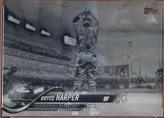 Bryce Harper