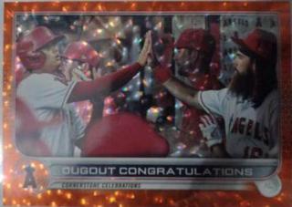 Ohtani / Marsh