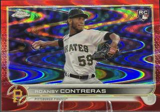 Roansy Contreras