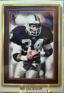 Bo Jackson