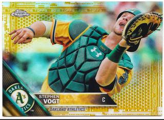 Stephen Vogt