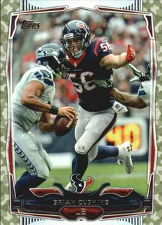 Brian Cushing