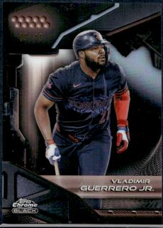 Vladimir Guerrero Jr.