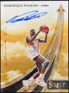 Dominique Wilkins