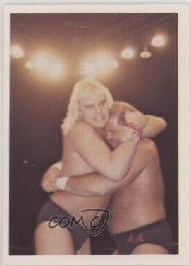 Barry Windham, Arn Anderson #43 Wrestling Cards 1988 Wonderama NWA