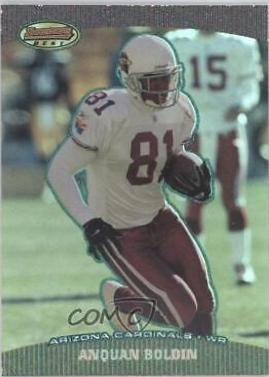 Anquan Boldin [Green] #20