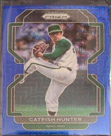 Catfish Hunter [Blue Mojo Prizm] #147