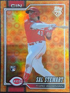 Sal Stewart