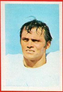 Howard Twilley