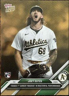 Joey Estes