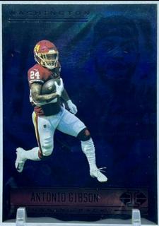 Antonio Gibson
