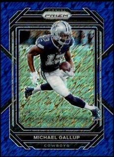 Michael Gallup