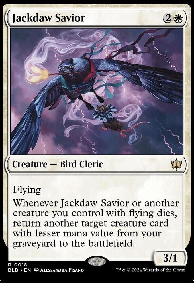 Jackdaw Savior