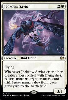 Jackdaw Savior